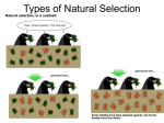 Types of Natural Selection