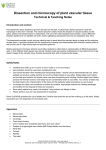 Vascular tissue microscopy - teacher notes