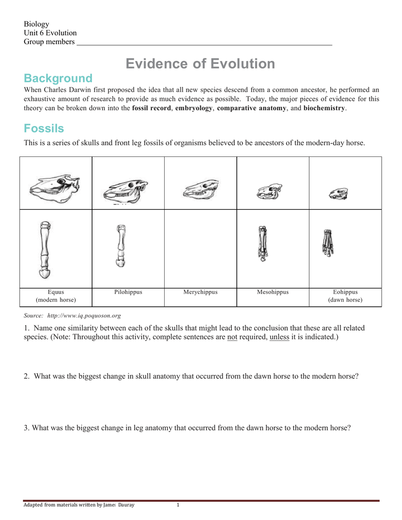 23. How are vestigial structures an example of evidence of evolution? In Evidence For Evolution Worksheet