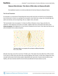 Human Microbiome: The Role of Microbes in Human Health