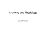 Anatomy and Physiology Day 2.pptm