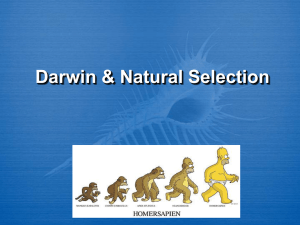 DarwinNatural_Selection Notes
