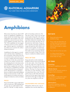 Amphibians EdFactSheet High