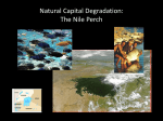 Natural Capital Degradation: The Nile Perch