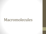 Macromolecules and the Molecules of Life