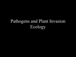 Plant Invasion Ecology