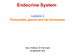 L 3 Pancreatic hormones 25th september 2012