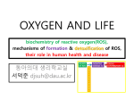 Oxygen and Life