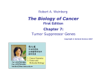 The Biology of Cancer