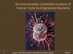 Invasion of Cancer Cells