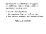 Development: understanding what happens will