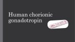Human chorionic gonadotropin