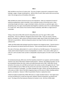 Slide 1 DNA and RNA are two forms of nucleic acids