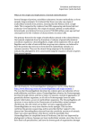 evolution-and-behaviour-essay-5 270 kb evolution-and