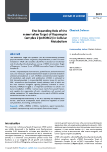 The Expanding Role of the mammalian Target of Rapamycin