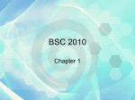 BSC 2020
