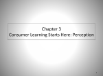Chapter 3 Consumer Learning Starts Here: Perception