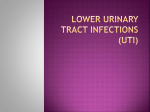 Lower Urinary Tract Infections (UTI)