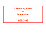 Gluconeogenesis