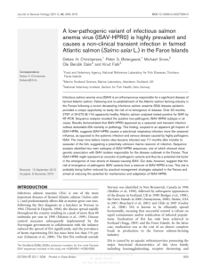 A low-pathogenic variant of infectious salmon anemia virus (ISAV