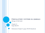 Circulatory systems in animals