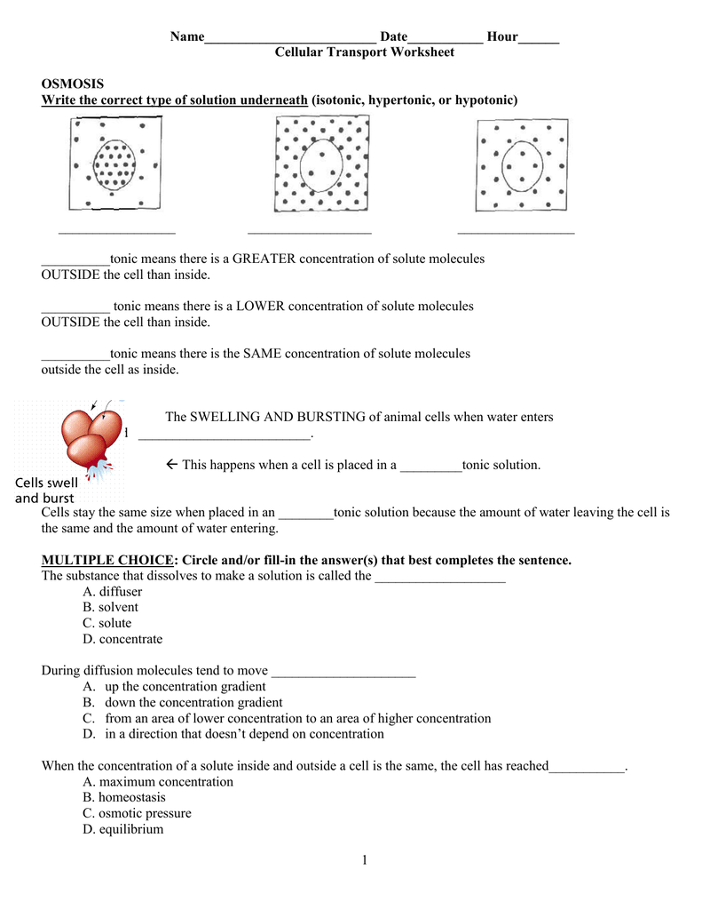 Longitudinal waves gizmo quizlet Longitudinal waves gizmo quizlet