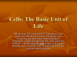 Cells: The Basic Unit of Life