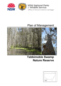 Tabbimoble Swamp Nature Reserve