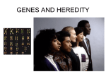 Genes