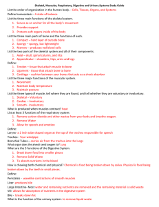 Skeletal, Muscular, Respiratory, Digestive and Urinary