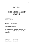 THE CITRIC ACID CYCLE