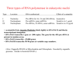 Eukaryotic gene expression: major considerations