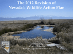 An Analysis for Revision of the Nevada Wildlife Action Plan.