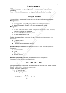 Protein turnover Nitrogen Balance G/N ratio (D/N ratio)