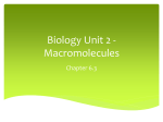 Biology Unit 2