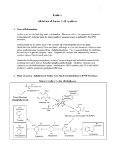 Lecture Inhibition of Amino Acid Synthesis