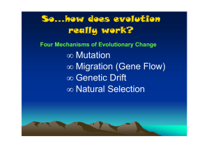 Mutation • Migration (Gene Flow) - Mrs. Corse