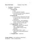 Vertebrate Zoology BIOL 322/Brain Part Notes revised 1may03