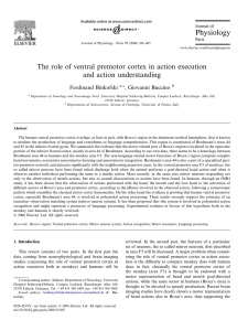 The role of ventral premotor cortex in action execution and action