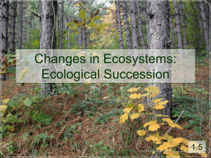 Ecological Succession