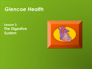 Glencoe Health Lesson 3 The Digestive System