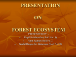 FOREST ECOSYSTEM