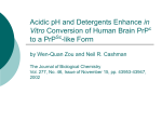 Acidic pH and Detergents Enhance in Vitro Conversion of Human