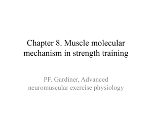 Chapter 8. Muscle molecular mechanism in strength training