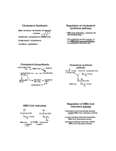 Cholesterol Synthesis Regulation of cholesterol synthesis pathway