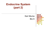 Control of Blood Glucose