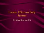 Uremia: Effects on Body Systems