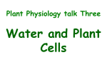 Water and the Plant Cell