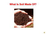 What Is Soil Made Of?