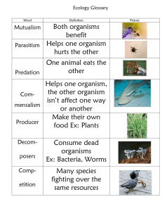 Both organisms benefit Helps one organism hurts the other One